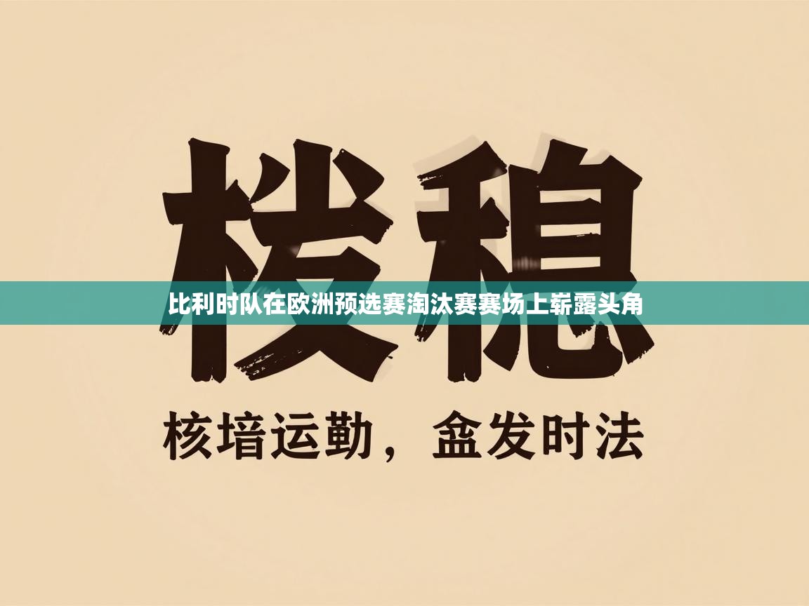 比利时队在欧洲预选赛淘汰赛赛场上崭露头角 第2张